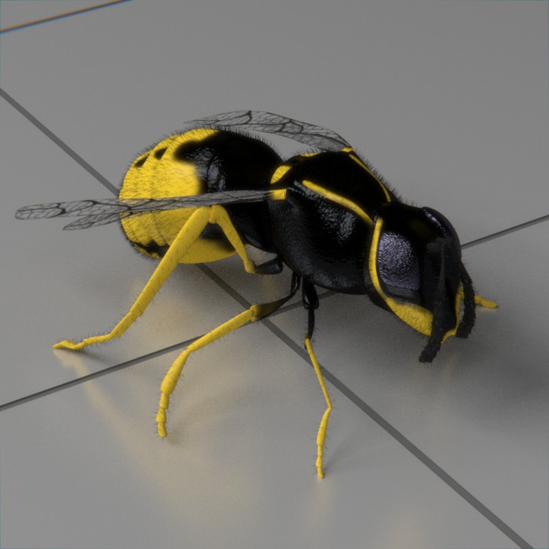 wasp animated preview image 2